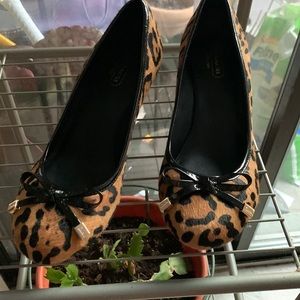 Coach shoes animal print